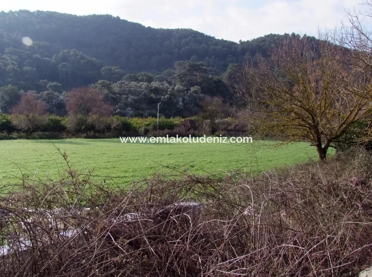 Zum Verkauf In Koycegiz, Dalyan Grundstück Zum Verkauf 10629M2