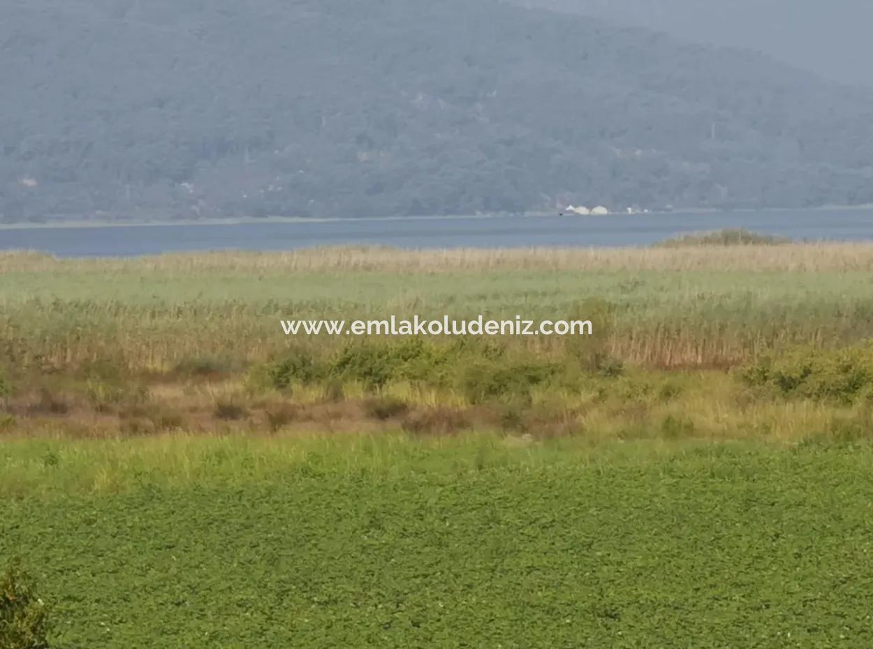 Seeblick Villa Zum Verkauf In Dalyan Eskikoy