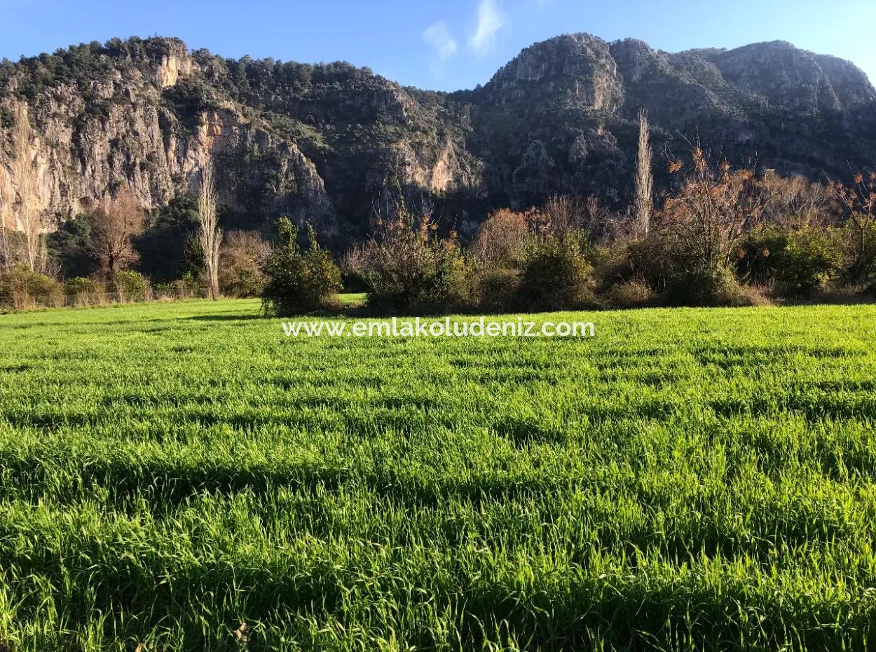 Bogenschützen Land Zu Verkaufen Marmarli 1500M2 Land Zu Verkaufen