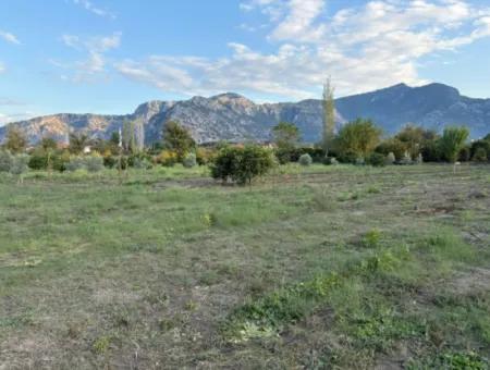 7.450M2 Land Zum Verkauf In Der Nähe Des Zentrums Von Dalyan