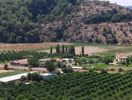 Merkez Dalyan Iztuzu See Zum Verkauf In Gokbel Null Pfad 7484M2