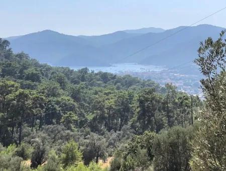 Tourismus-Zonen Grundstücke Zum Verkauf In Göcek Mit Meerblick Zum Verkauf In Gocek