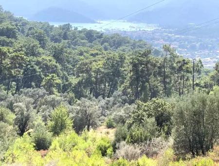 Tourismus-Zonen Grundstücke Zum Verkauf In Göcek Mit Meerblick Zum Verkauf In Gocek