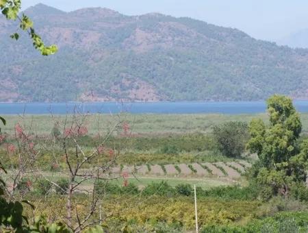 Bauernhof Zum Verkauf Bauernhof Zum Verkauf In Dalyan 73410M2