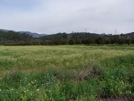 In Akyaka Zum Verkauf: Grundstück Zum Verkauf Bauernhof Zum Verkauf Einer Farm In Der Nähe Vom Meer, In Ars, Yatirimlik 21625M2