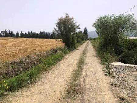 Ackerland Zum Verkauf 39 Hektar In Eskikoy