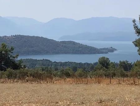 11.227M2 Grundstück Zum Verkauf Mit Seeblick In Köyceğiz Zeytinalan