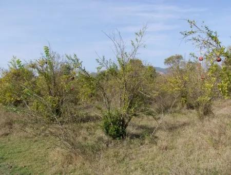 Güzelyurt Land Zu Verkaufen Dorf Gebaut 6670M2 Land Zum Verkauf