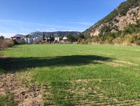 Land Zu Verkaufen In Sar'germede 30.000M2 Land Zum Verkauf Mit Meerblick