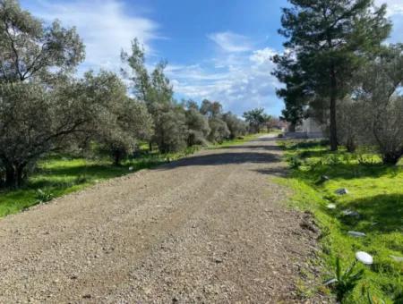 401M2 Grundstück Zum Verkauf In Ortaca Cumhuriyet Nachbarschaft