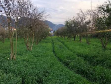 Bogenschützen Grundstück Zu Verkaufen 4707M2 Land Zu Verkaufen