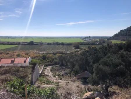 Grundstück Zum Verkauf Mit Meerblick Von Fevziye