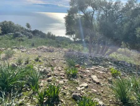 8.900M2 Feld Zum Verkauf Mit Vollem Meerblick In Ekincik