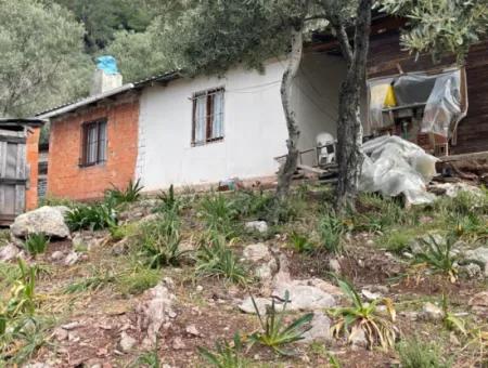 Olivenhaus Mit Meerblick In Ekincik Steht Zum Verkauf