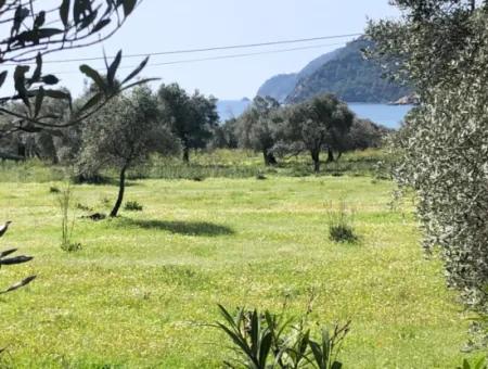 3250M2 Grundstück Zum Verkauf In Ekincik Mit Blick Auf Das Meer