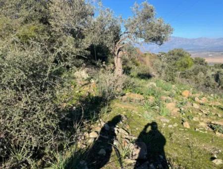 2B Grundstück Zum Verkauf Mit Meerblick In Çandır