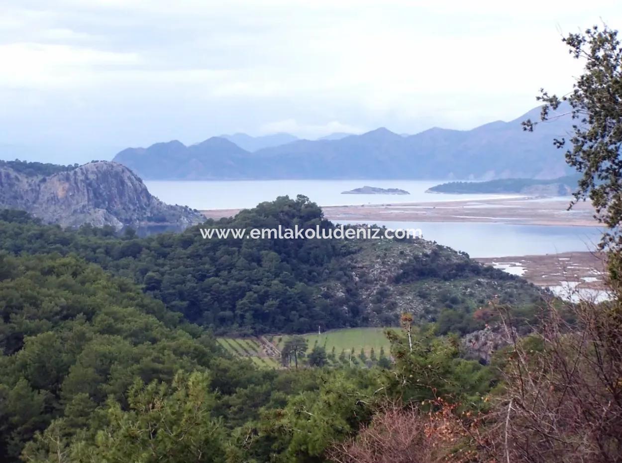 Merkez Dalyan Lake Iztuzu For Sale In Gokbel Zero Path 7484M2