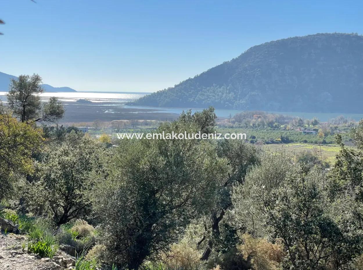 950M2 2B Field For Sale With Sea And Lake View In Çandır