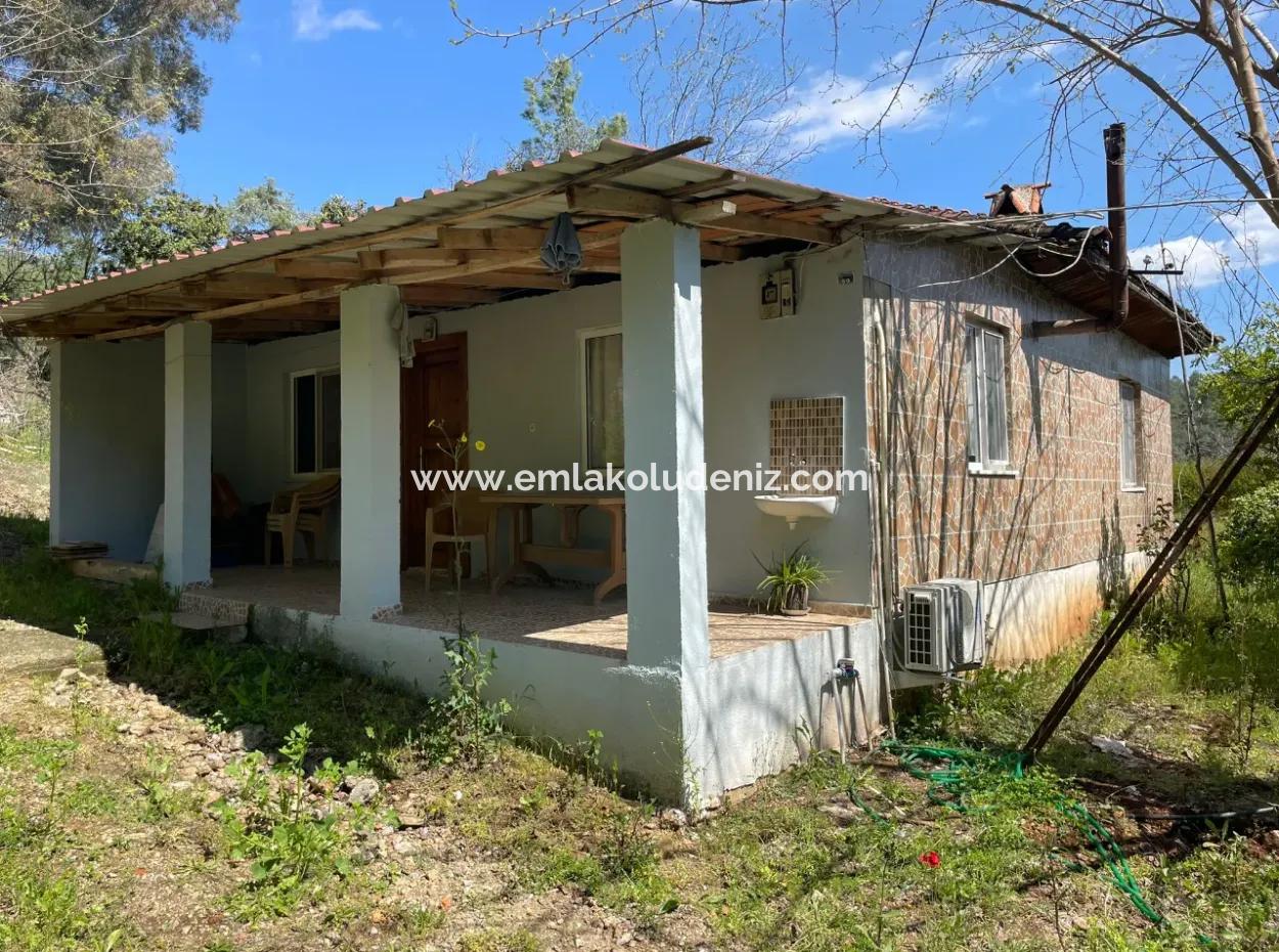 Village House For Sale In 5650M2 Field In Zeytinalann