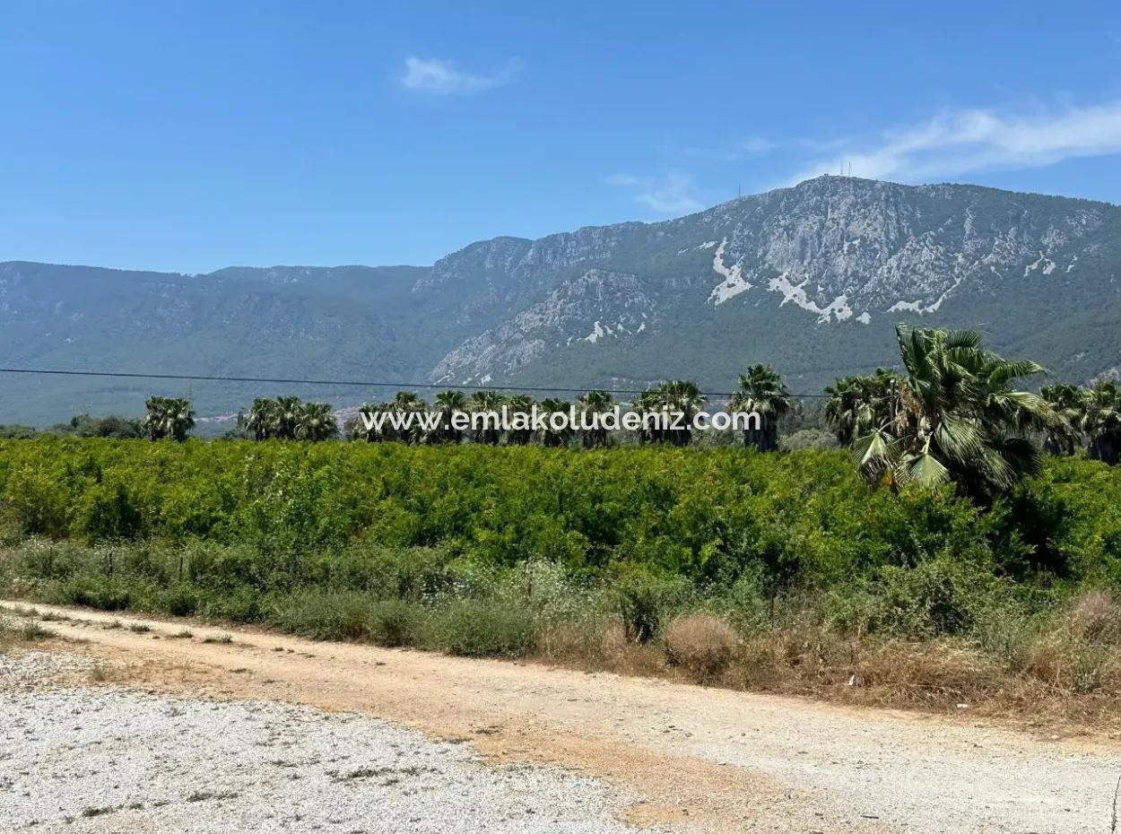 13,500M2 Roadfront Field For Sale In Akyaka Akçapınar