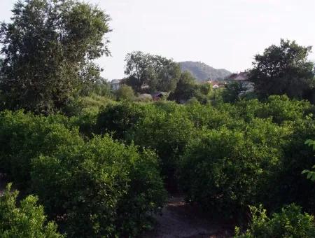 Near The Centre Of Dalyan In Dalyan Plot For Sale For Sale 987M2