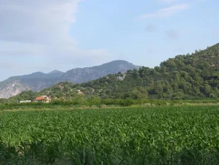 Farm For Sale Near The Centre Of Dalyan,14, 612M2 Farm For Sale