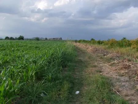 Farm For Sale Near The Centre Of Dalyan,14, 612M2 Farm For Sale