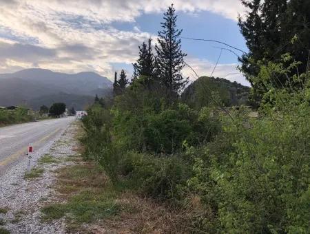 Land For Sale In Dalyan Gülpınar On The Main Road 9,037M2