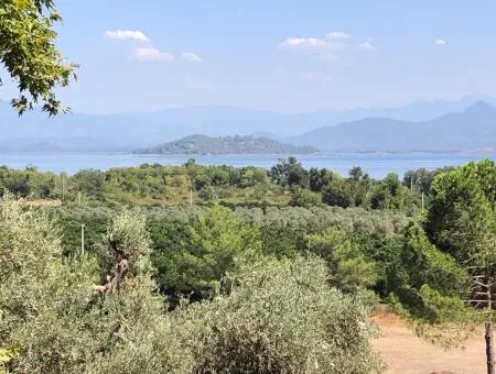 Land For Sale In Sultaniye 2285M2 Land For Sale Near The Lake