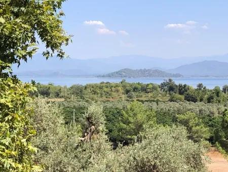 Land For Sale In Sultaniye 2285M2 Land For Sale Near The Lake