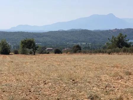 11.227M2 Land For Sale With Lake Views In Köyceğiz Zeytinalanı