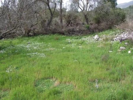 In Incirkoy Uzumlu Fethiye Plot For Sale Farm For Sale In Incirkoy