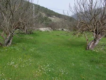 In Incirkoy Uzumlu Fethiye Plot For Sale Farm For Sale In Incirkoy