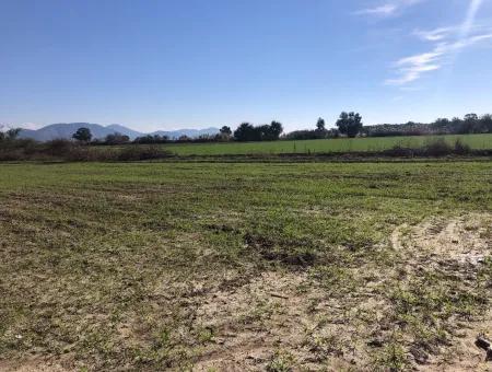 Land For Sale In Sarıgermede 30,000M2 Land For Sale With Sea View