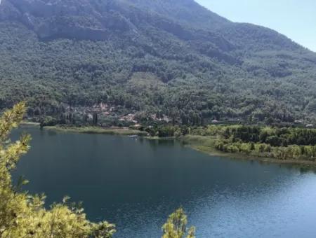 Sultaniye Land For Sale Near 10577M2 Lake Land For Sale