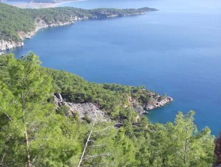 Real Estate Bargain Plot For Sale With Sea Views In Çandır Call In Ekincik