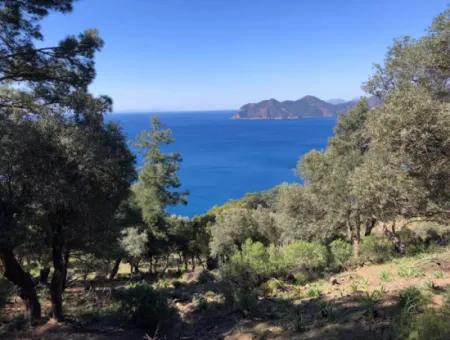 Land For Sale With Sea View In Çandir