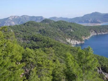 Real Estate Bargain Plot For Sale With Sea Views In Çandır Call In Ekincik