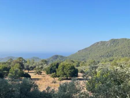 2620M2 Land Field For Sale With Sea View Of Çandir