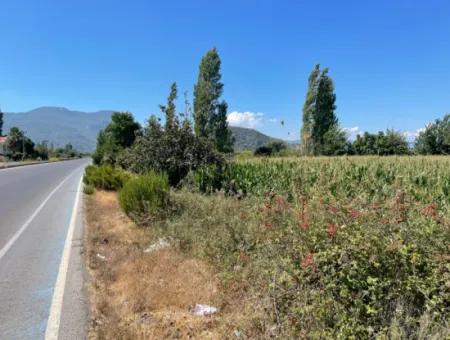 Dalyan Main Road Zero Land For Sale 8115M2 Commercial Land For Sale