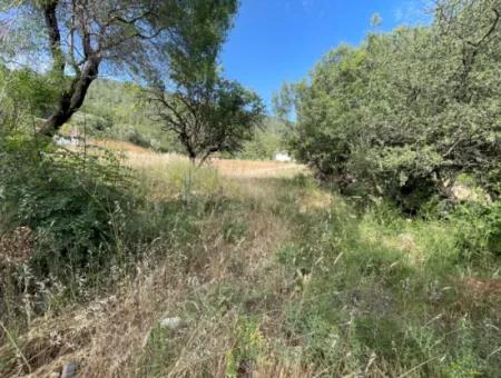 Land For Sale In Ula Armutchuk With 501M2 Zoning