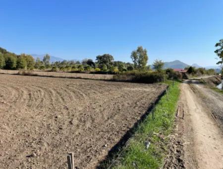 6254M2 Field For Sale Near Dalyan In Eskiköy