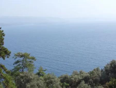 5000M2 Plot Of Land For Sale In Akyaka With Full Sea View House For Sale Kentucky