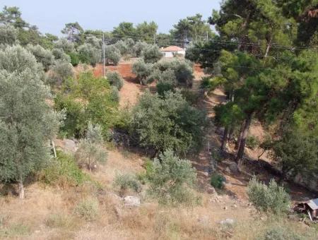 5000M2 Plot Of Land For Sale In Akyaka With Full Sea View House For Sale Kentucky