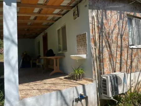 Village House For Sale In 5650M2 Field In Zeytinalann