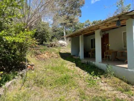 Village House For Sale In 5650M2 Field In Zeytinalann