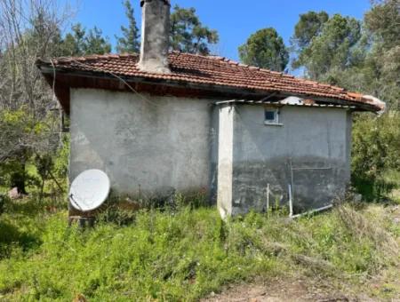 Village House For Sale In 5650M2 Field In Zeytinalann