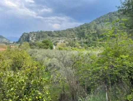 5000M2 Field For Sale At The Beginning Of The Road In Çandır