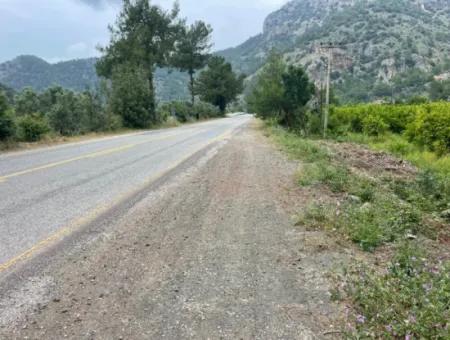 7800M2 Land For Sale At The Beginning Of Iztuzu Beach Road In Gökbel