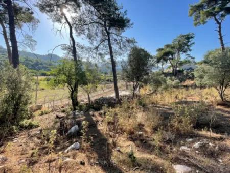 1,320M2 Field For Sale In Çandır Center By The Forest